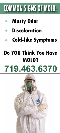 Colorado Springs Mold Remediation Contractor